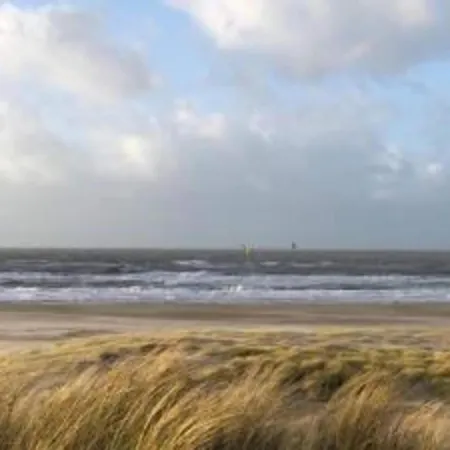 In Near The * Petten