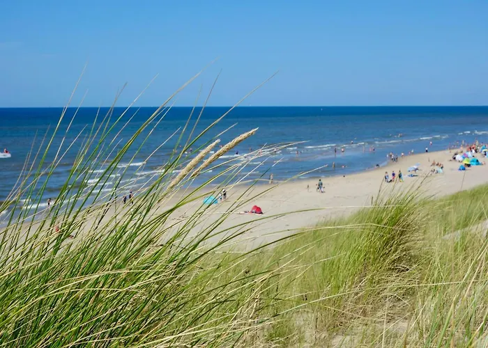 In Near The * Petten