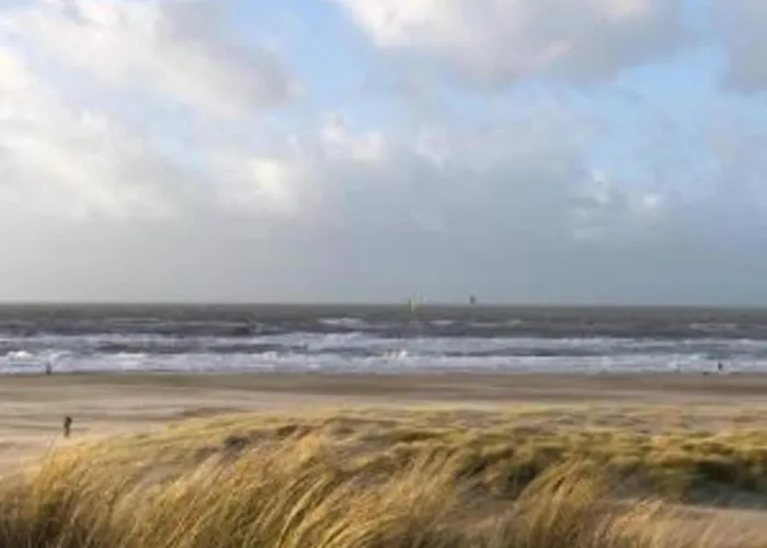 In Near The * Petten