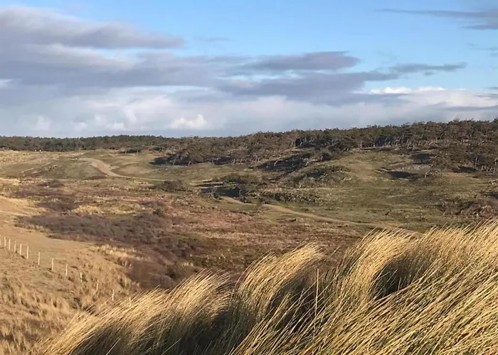 In Near The * Petten