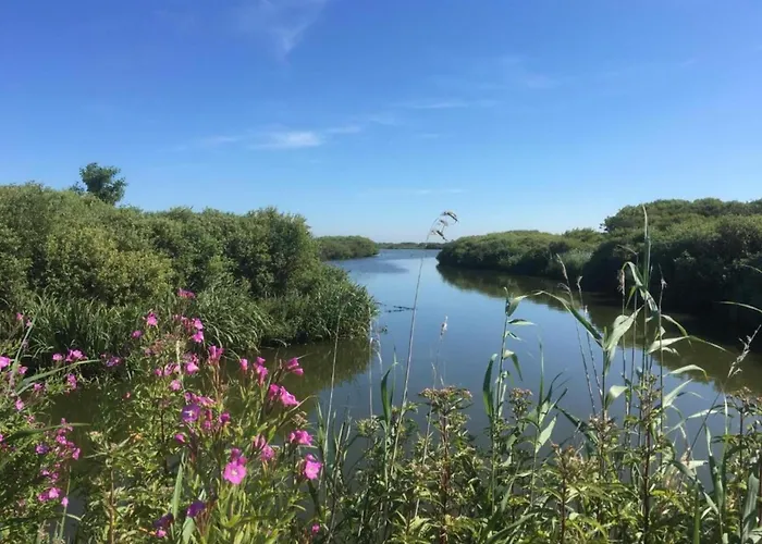 In Near The Σπίτι διακοπών *