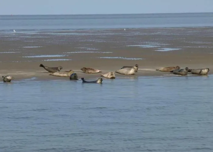 Σπίτι διακοπών In Near The Petten